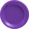 Plato grande morado